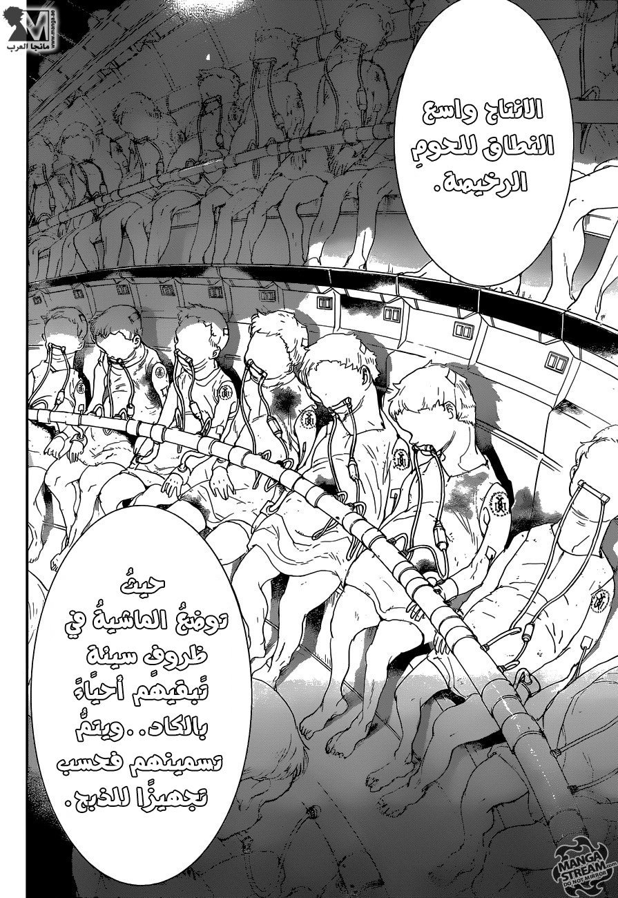 The Promised Neverland: Chapter 50 - Page 10