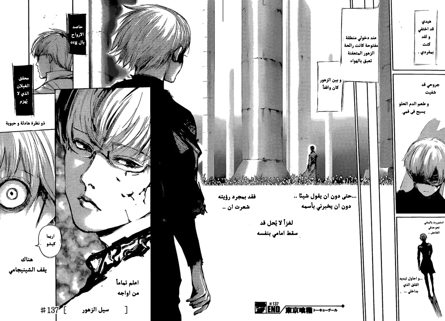 Tokyo Ghoul: Chapter 137 - Page 17