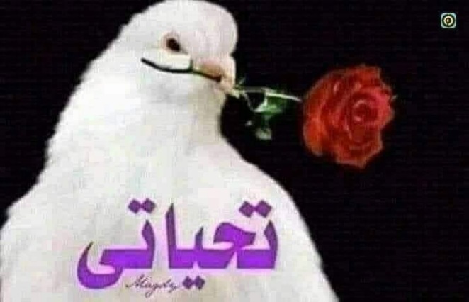 Tomodachi Game: Chapter 79 - Page 35