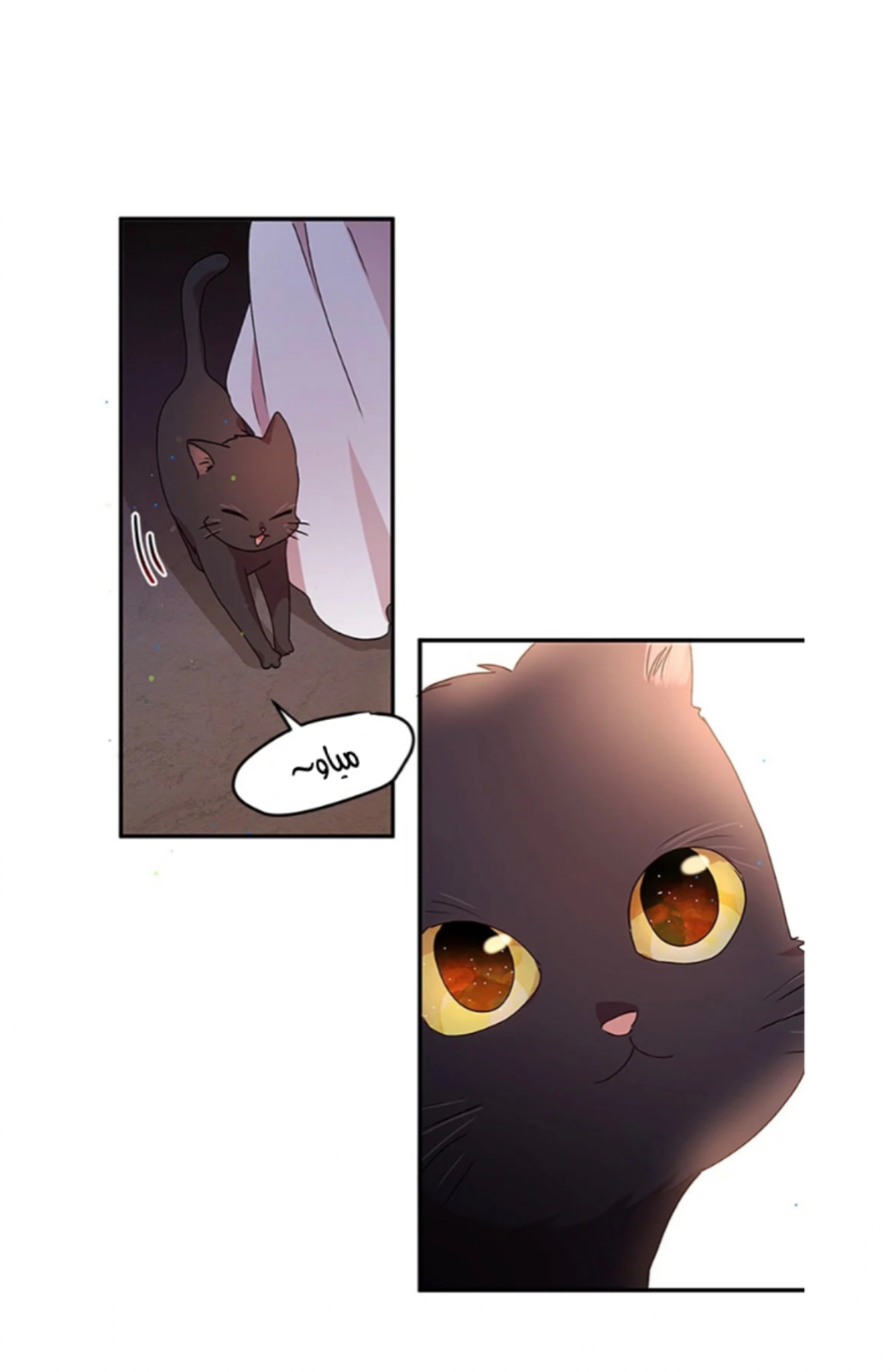 Why Are You Doing This, Duke?: Chapter 81 - Page 12