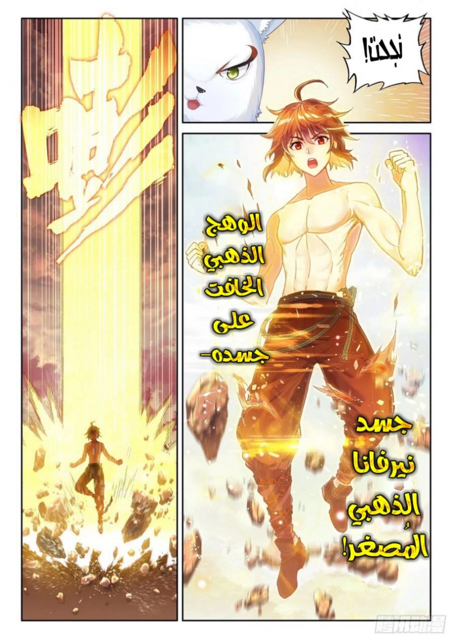 Wu Dong Qian Kun: Chapter 112 - Page 11