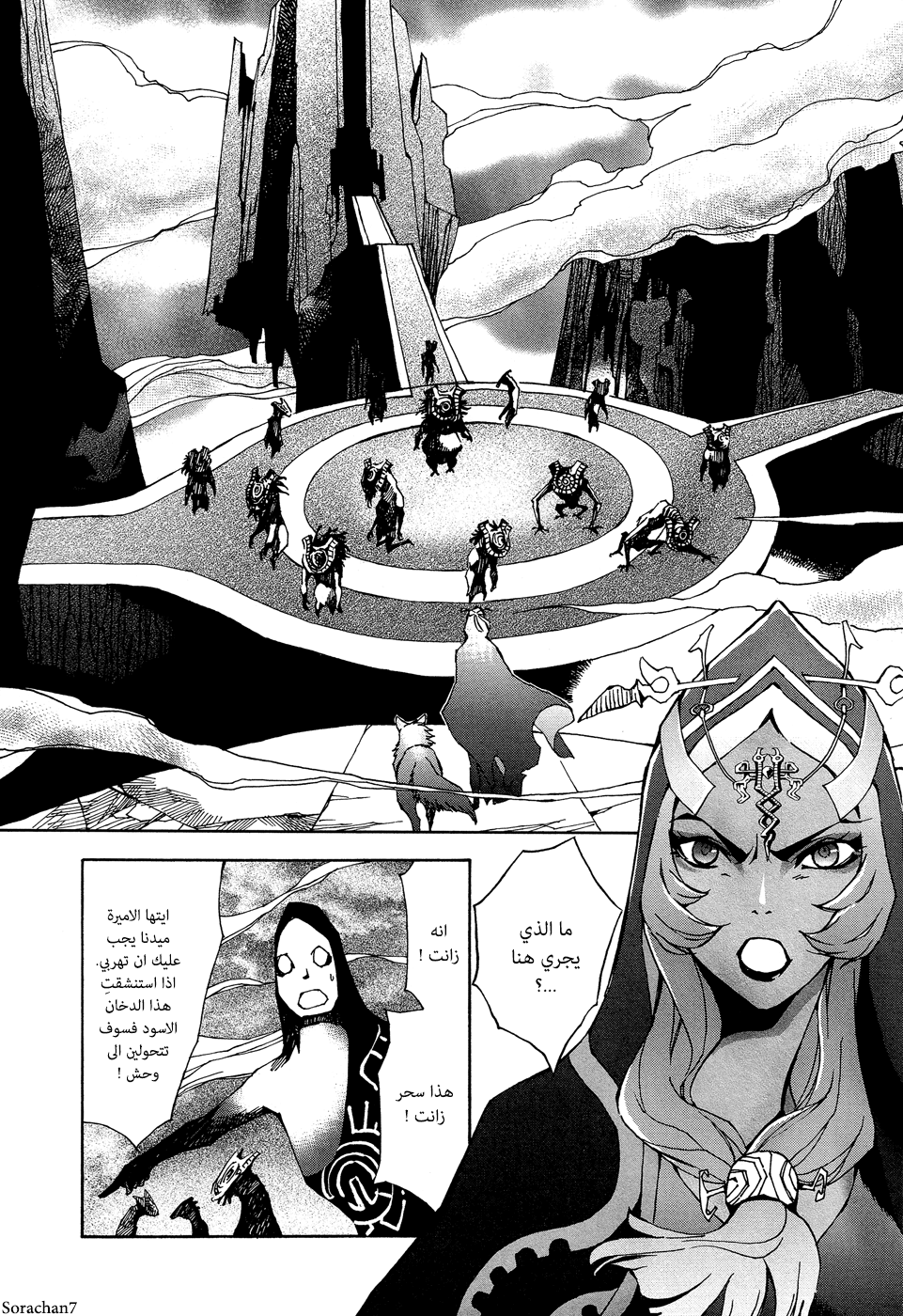 Zelda no Densetsu: Twilight Princess: Chapter 1 - Page 14