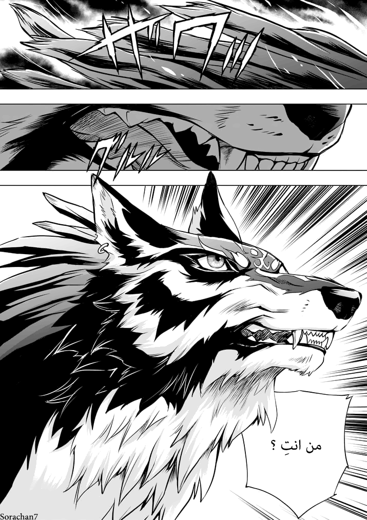 Zelda no Densetsu: Twilight Princess: Chapter 10 - Page 2