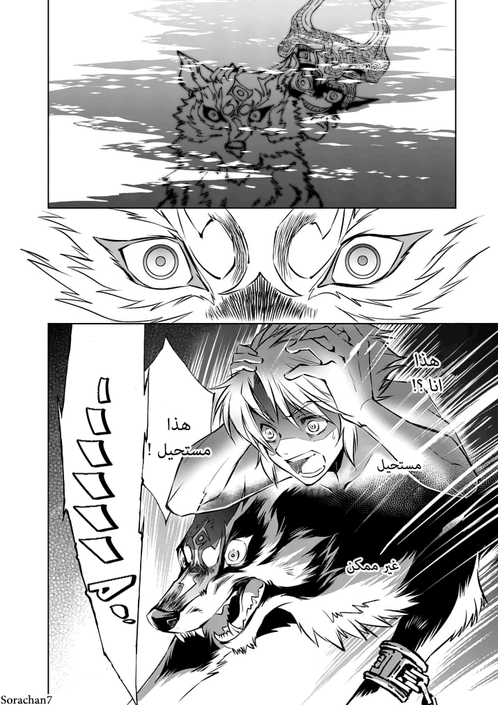 Zelda no Densetsu: Twilight Princess: Chapter 10 - Page 4