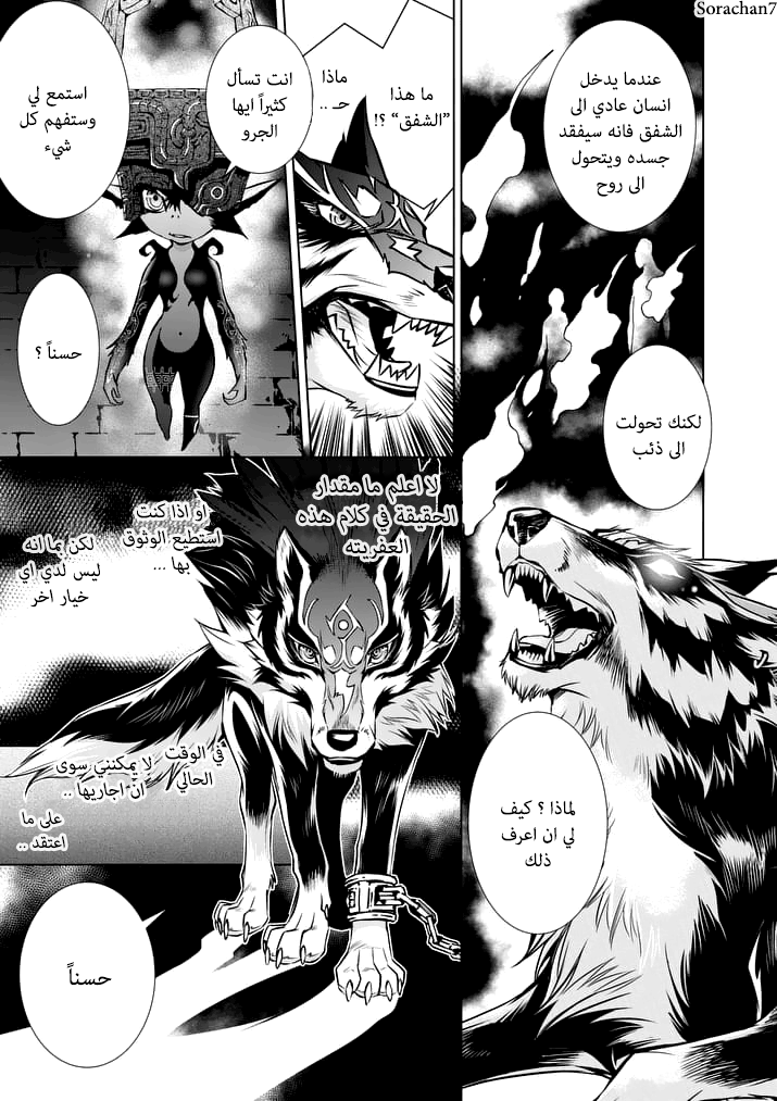 Zelda no Densetsu: Twilight Princess: Chapter 10 - Page 9