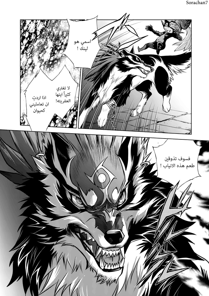 Zelda no Densetsu: Twilight Princess: Chapter 10 - Page 14