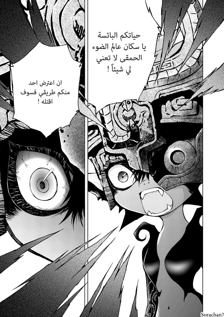 Zelda no Densetsu: Twilight Princess: Chapter 10 - Page 17