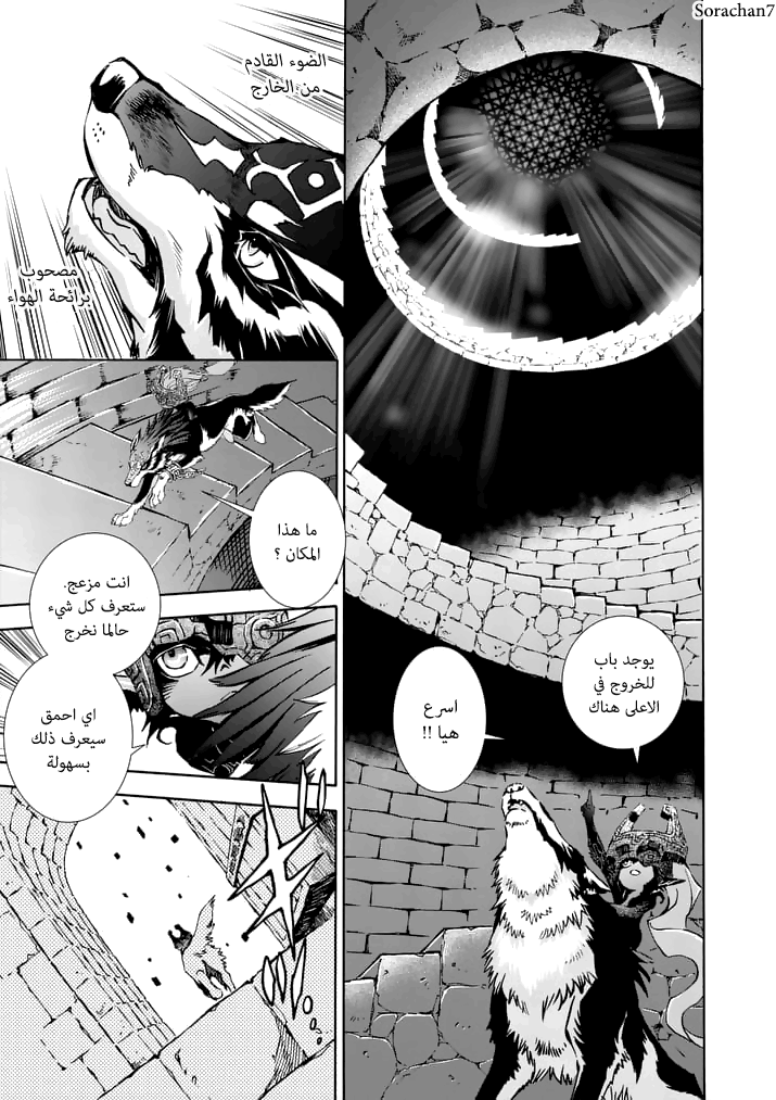 Zelda no Densetsu: Twilight Princess: Chapter 11 - Page 3