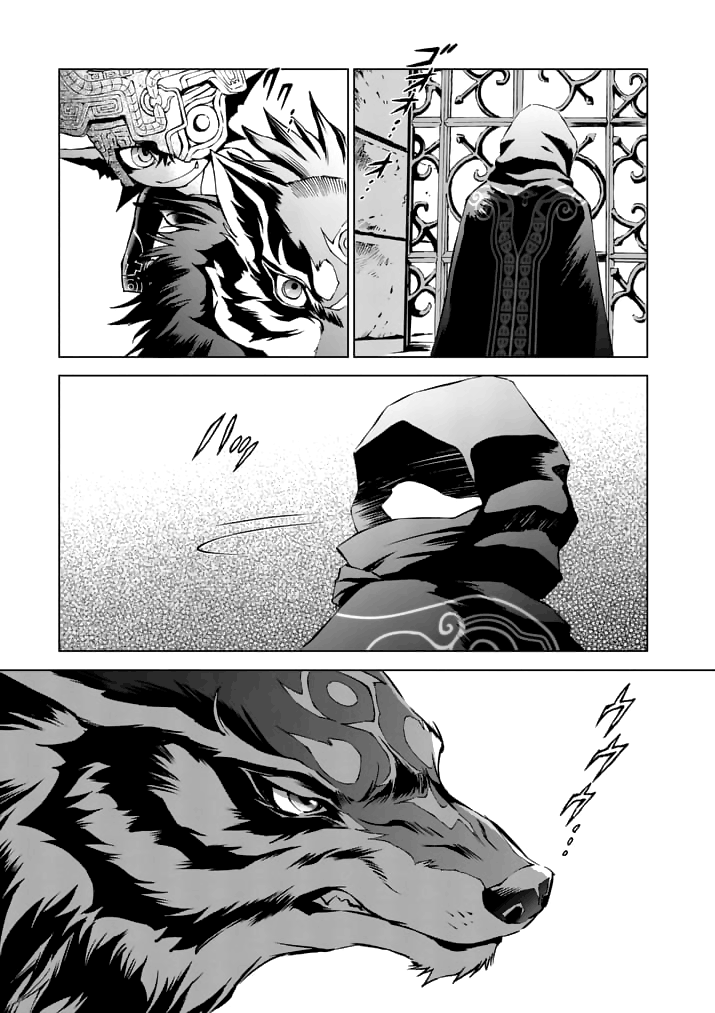 Zelda no Densetsu: Twilight Princess: Chapter 11 - Page 10