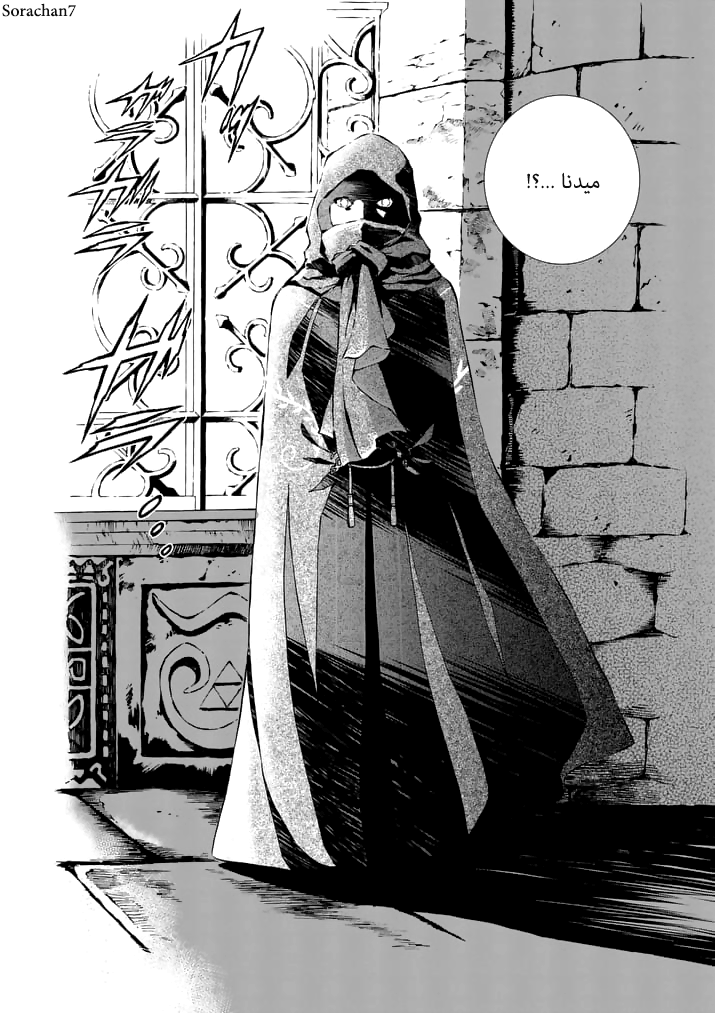 Zelda no Densetsu: Twilight Princess: Chapter 11 - Page 11