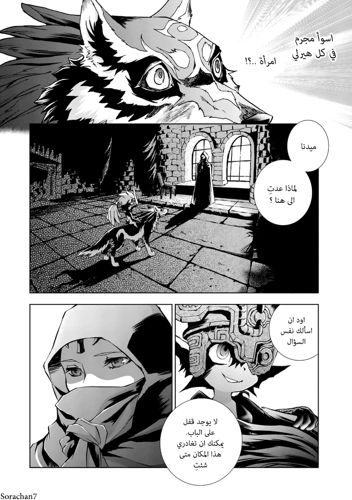Zelda no Densetsu: Twilight Princess: Chapter 11 - Page 12