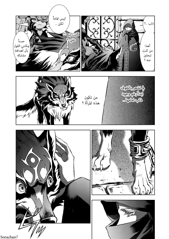 Zelda no Densetsu: Twilight Princess: Chapter 11 - Page 13