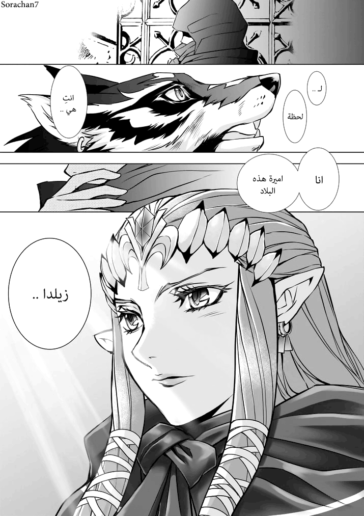 Zelda no Densetsu: Twilight Princess: Chapter 11 - Page 16