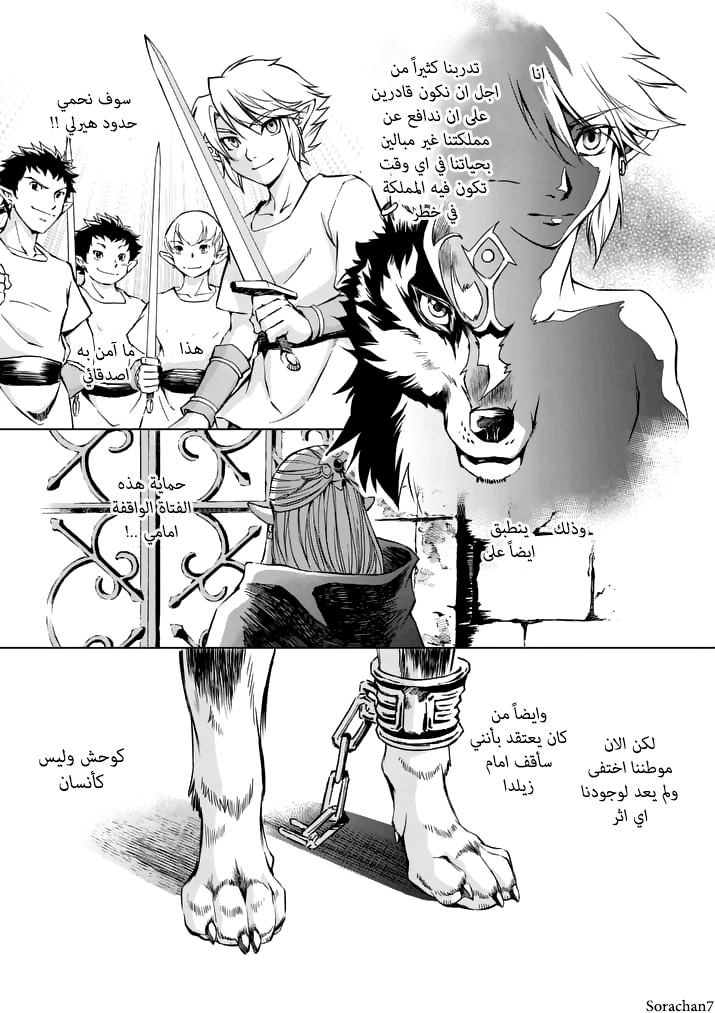 Zelda no Densetsu: Twilight Princess: Chapter 12 - Page 13