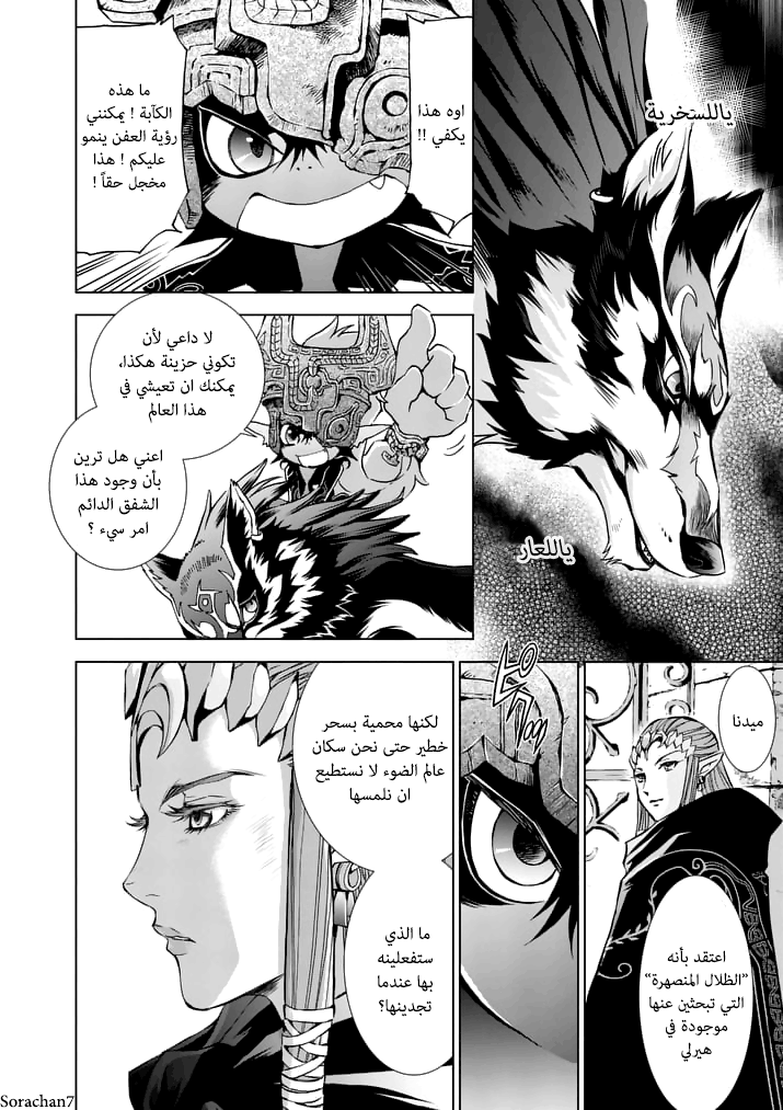 Zelda no Densetsu: Twilight Princess: Chapter 12 - Page 14