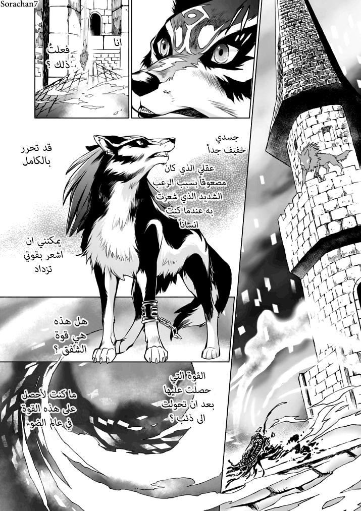 Zelda no Densetsu: Twilight Princess: Chapter 13 - Page 4