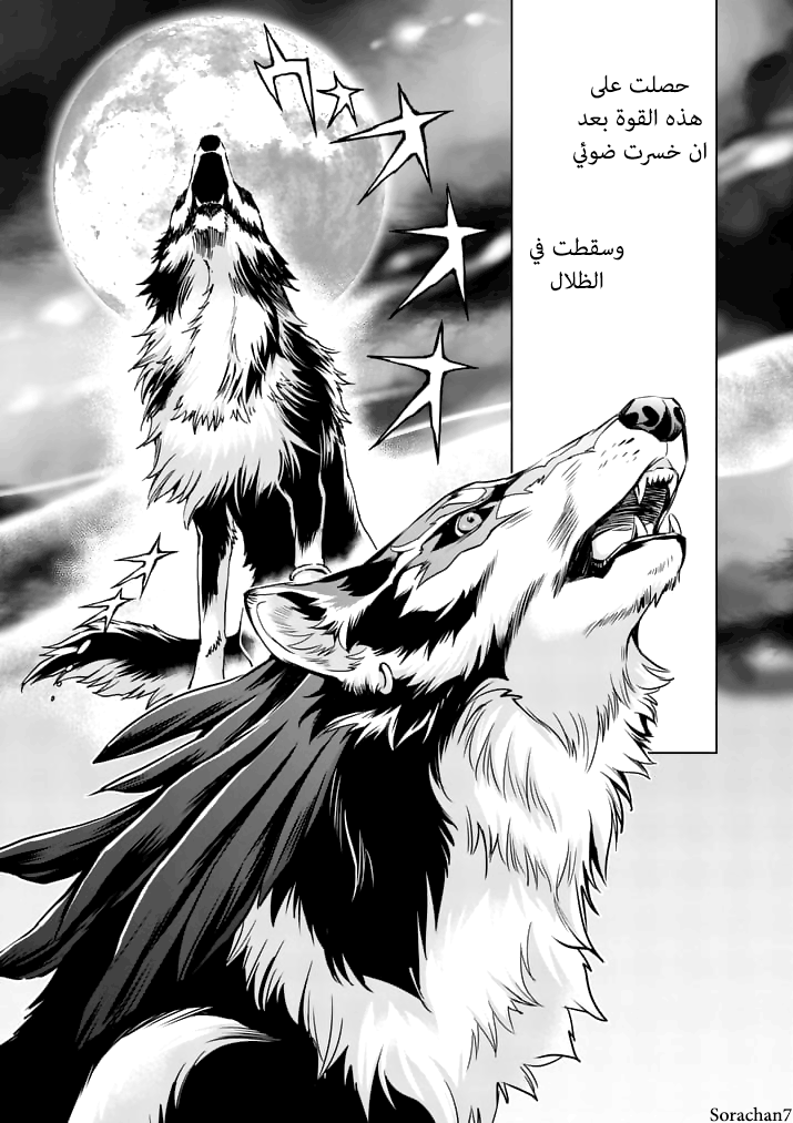 Zelda no Densetsu: Twilight Princess: Chapter 13 - Page 5