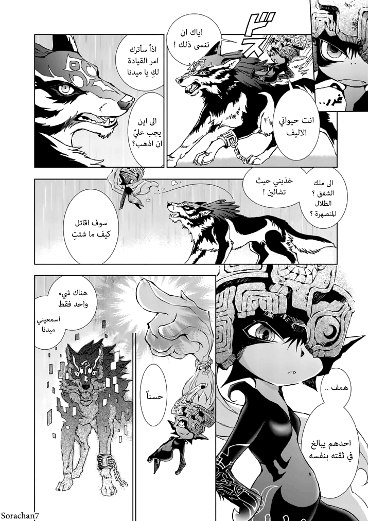 Zelda no Densetsu: Twilight Princess: Chapter 13 - Page 10