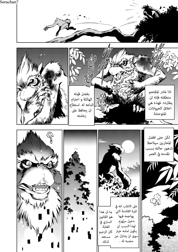 Zelda no Densetsu: Twilight Princess: Chapter 14 - Page 3