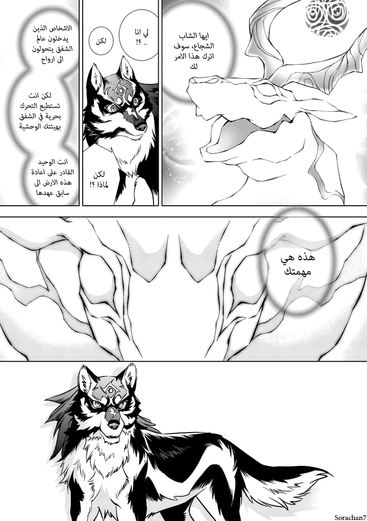 Zelda no Densetsu: Twilight Princess: Chapter 14 - Page 10