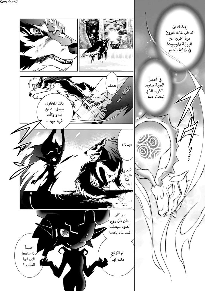 Zelda no Densetsu: Twilight Princess: Chapter 14 - Page 11