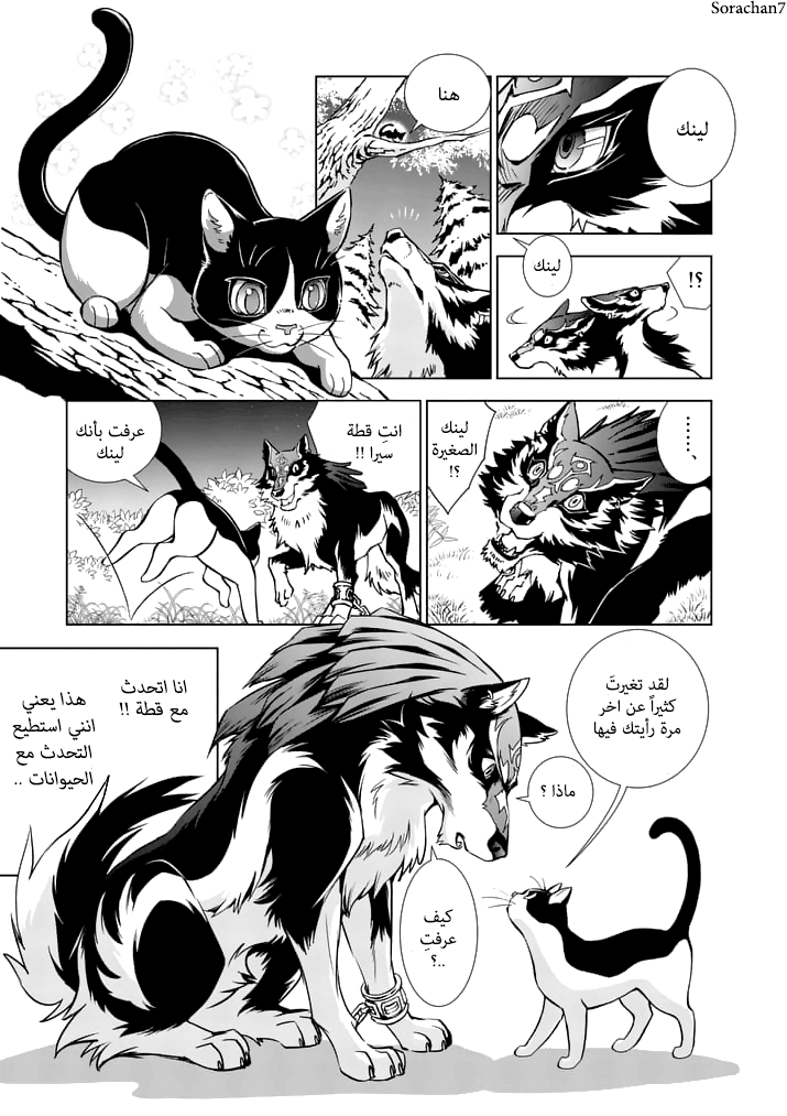 Zelda no Densetsu: Twilight Princess: Chapter 14 - Page 20