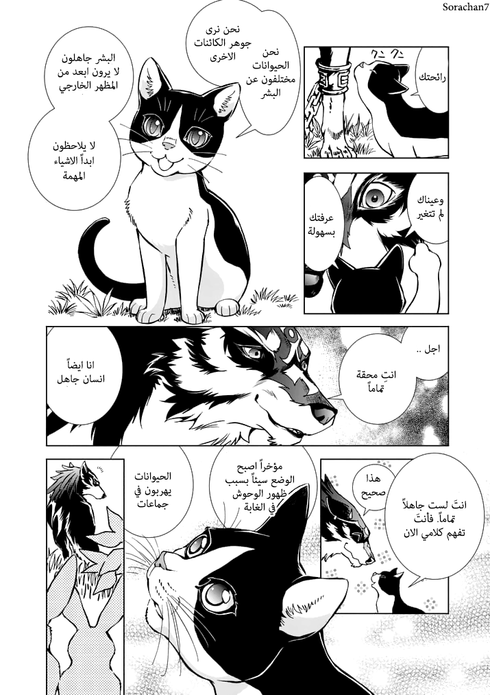 Zelda no Densetsu: Twilight Princess: Chapter 14 - Page 21