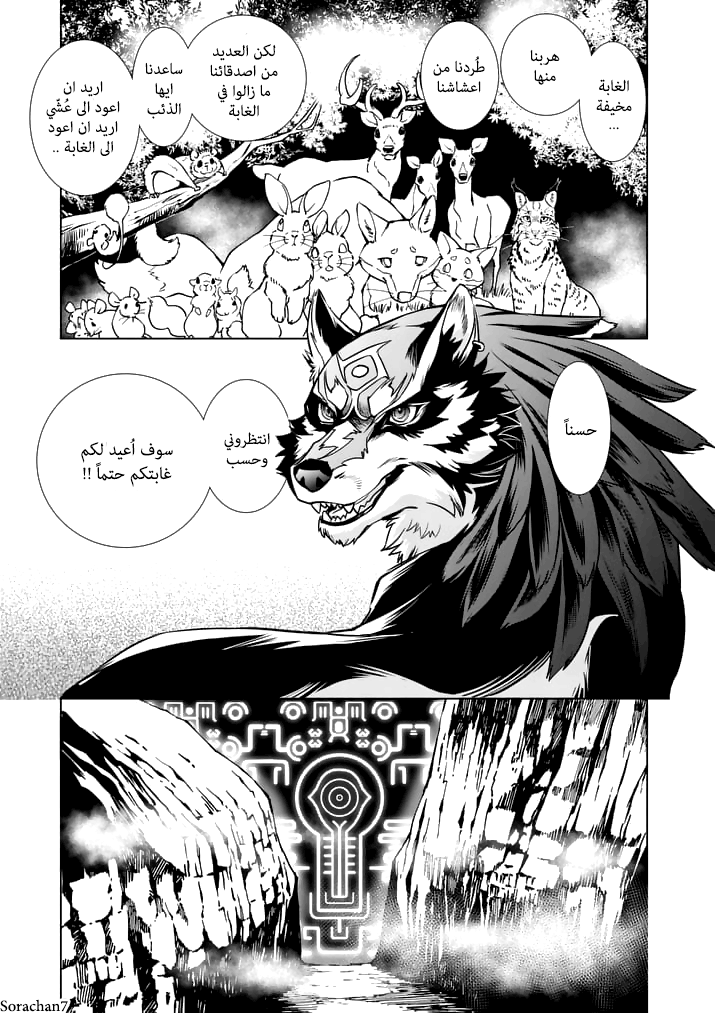 Zelda no Densetsu: Twilight Princess: Chapter 14 - Page 22