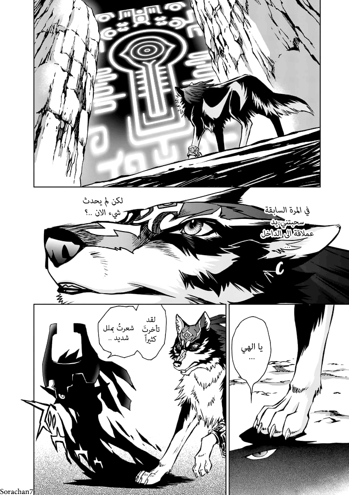 Zelda no Densetsu: Twilight Princess: Chapter 14 - Page 23