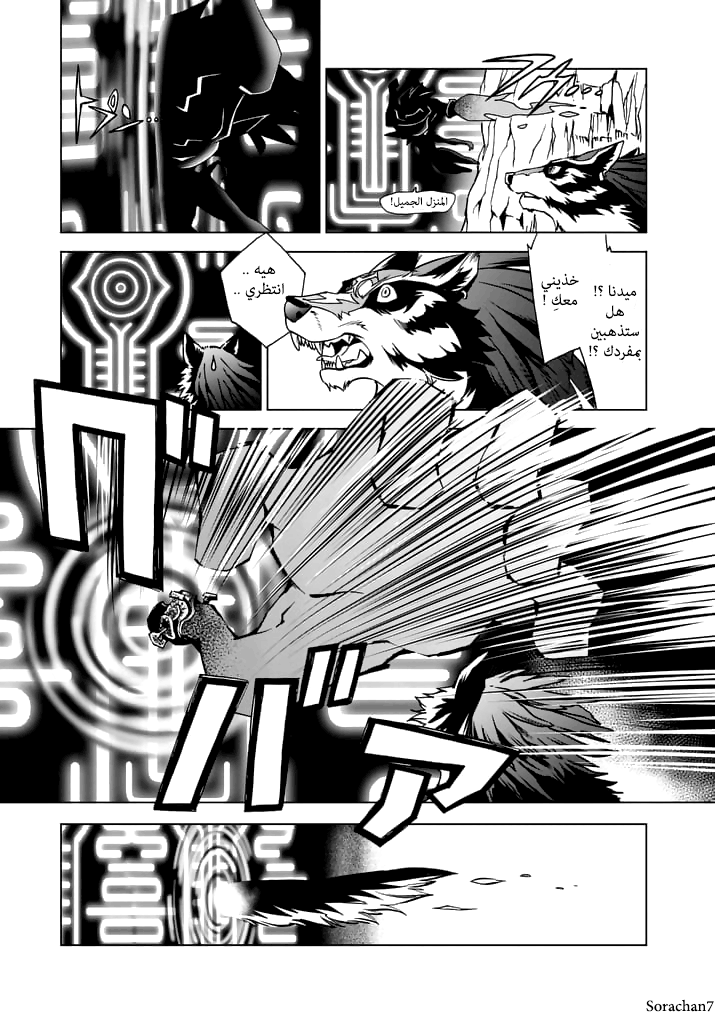 Zelda no Densetsu: Twilight Princess: Chapter 14 - Page 24