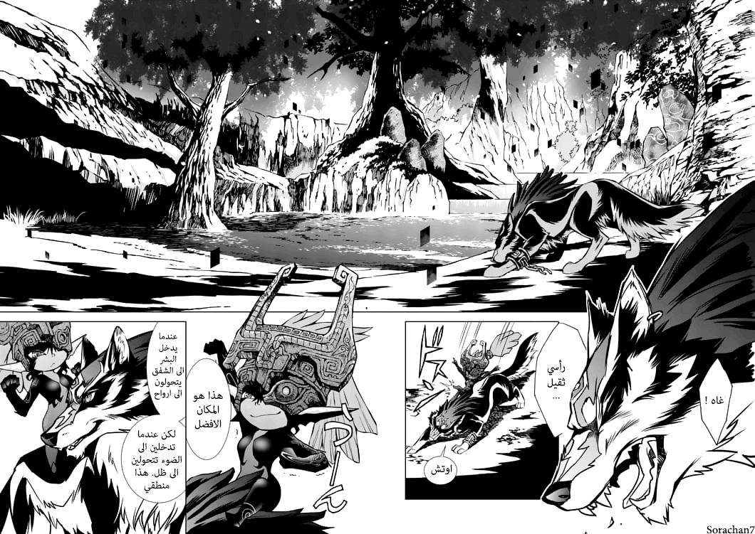 Zelda no Densetsu: Twilight Princess: Chapter 14 - Page 25