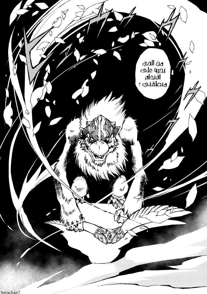 Zelda no Densetsu: Twilight Princess: Chapter 14 - Page 29