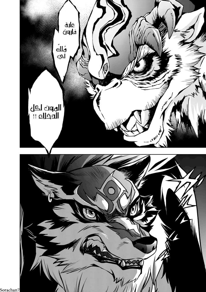 Zelda no Densetsu: Twilight Princess: Chapter 14 - Page 30