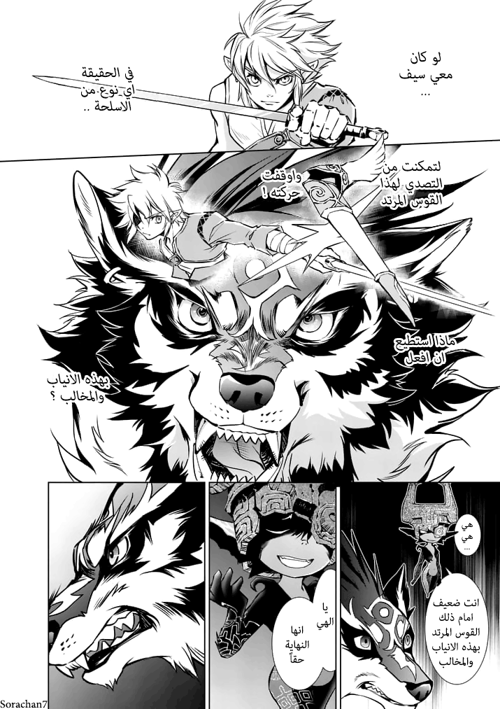 Zelda no Densetsu: Twilight Princess: Chapter 15 - Page 8