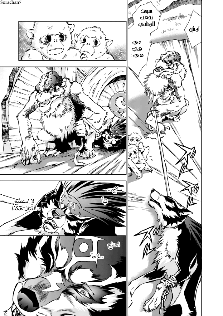 Zelda no Densetsu: Twilight Princess: Chapter 15 - Page 13