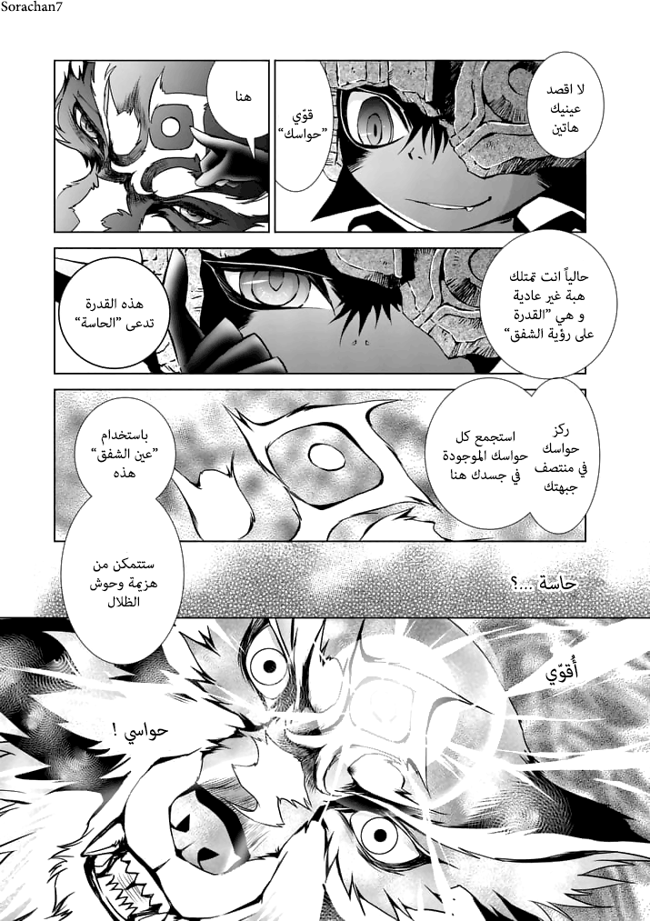 Zelda no Densetsu: Twilight Princess: Chapter 15 - Page 17