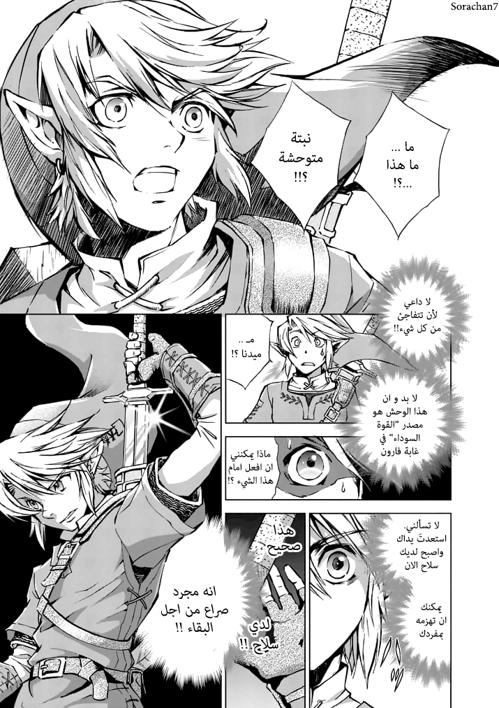 Zelda no Densetsu: Twilight Princess: Chapter 16 - Page 11
