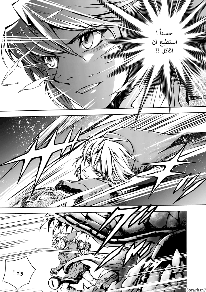 Zelda no Densetsu: Twilight Princess: Chapter 16 - Page 13