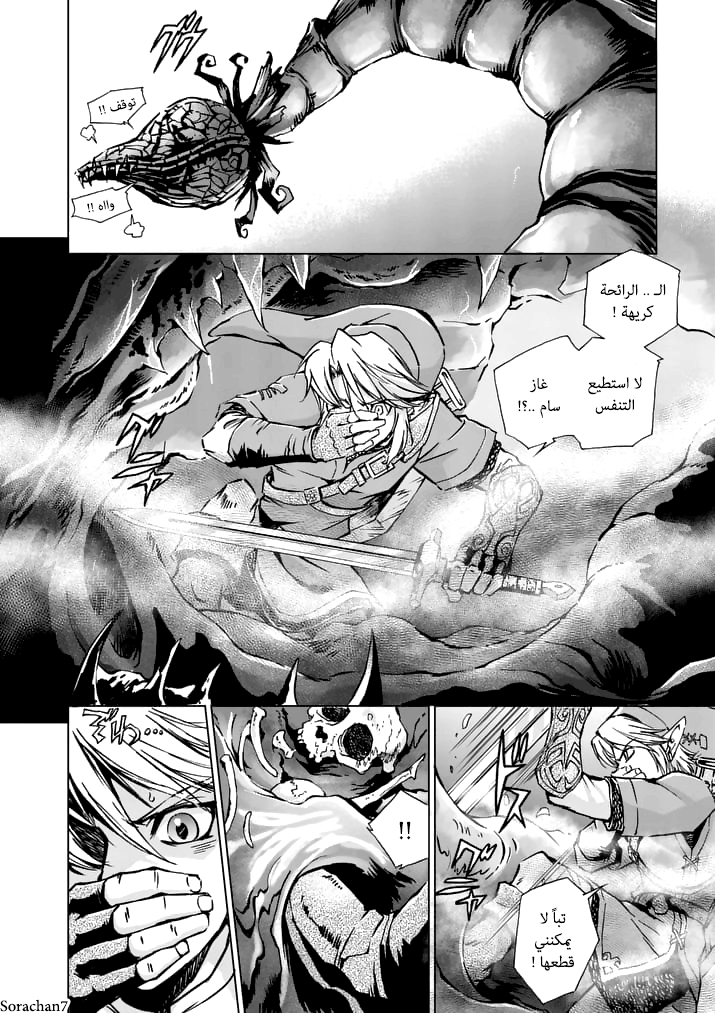Zelda no Densetsu: Twilight Princess: Chapter 16 - Page 14