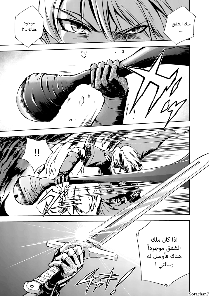 Zelda no Densetsu: Twilight Princess: Chapter 16 - Page 17