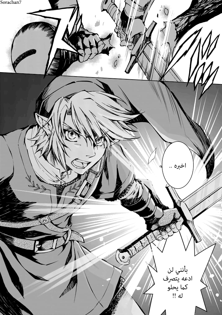 Zelda no Densetsu: Twilight Princess: Chapter 16 - Page 18