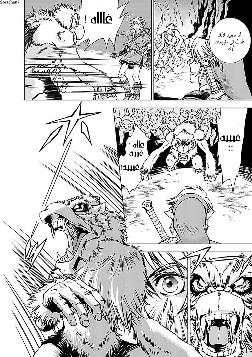 Zelda no Densetsu: Twilight Princess: Chapter 17 - Page 8