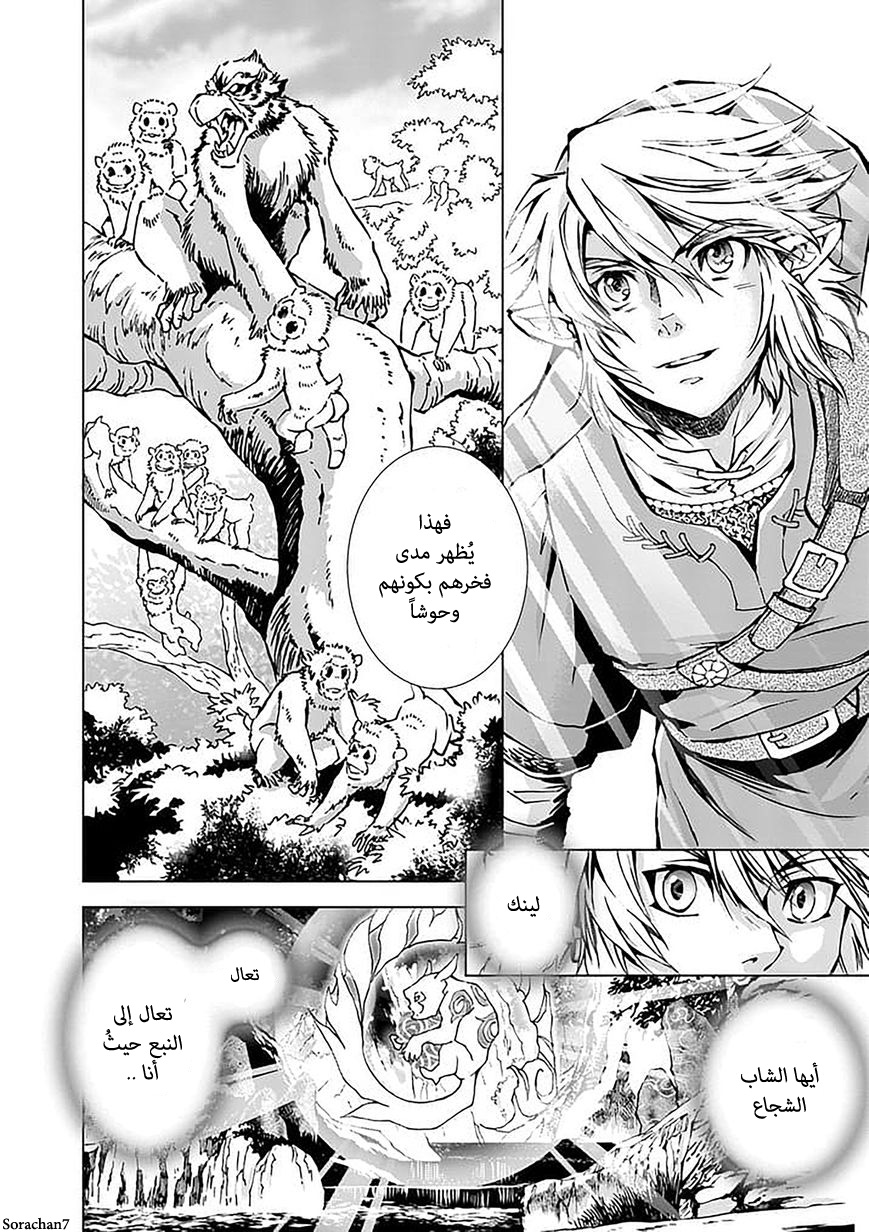 Zelda no Densetsu: Twilight Princess: Chapter 17 - Page 10