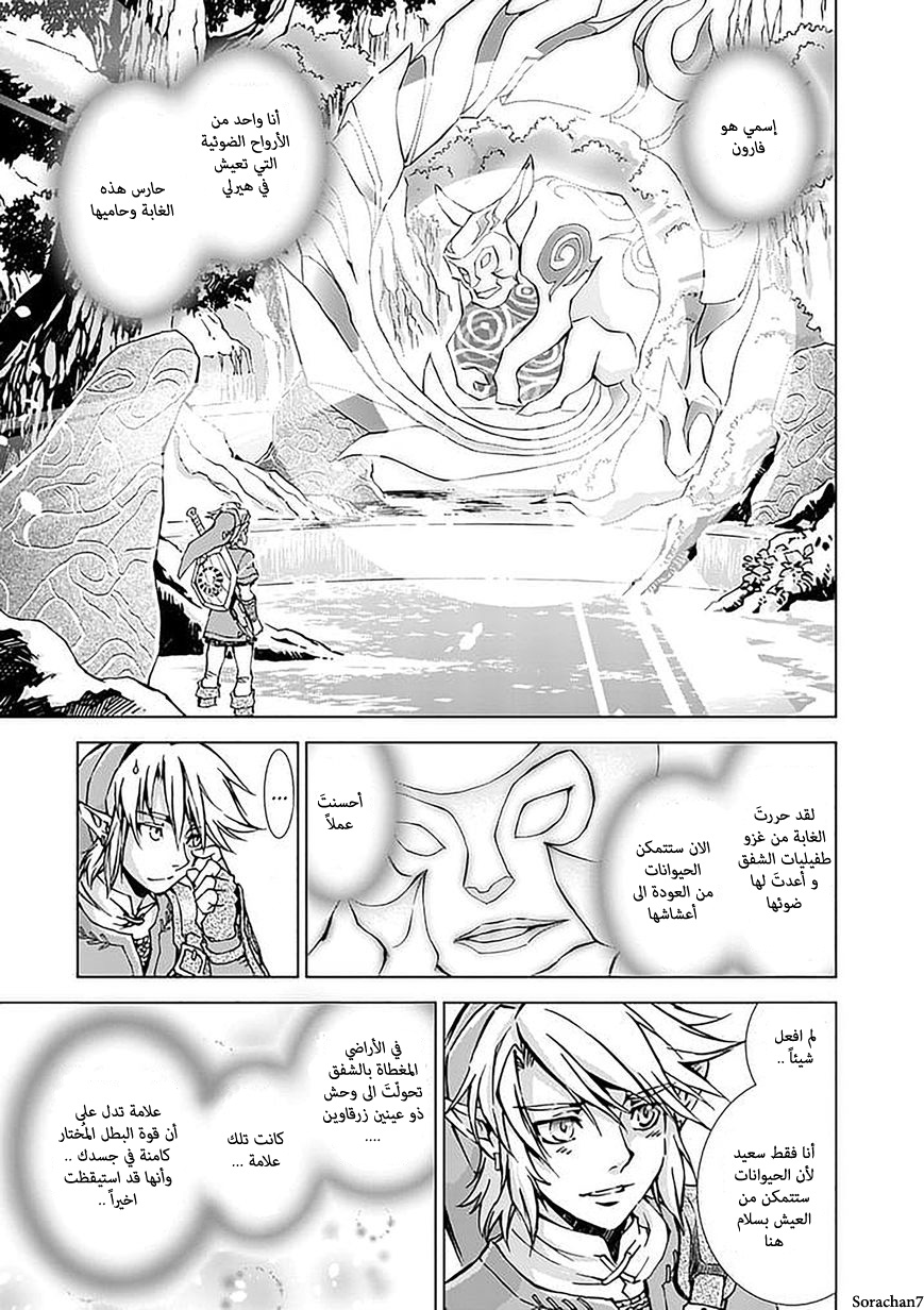 Zelda no Densetsu: Twilight Princess: Chapter 17 - Page 11