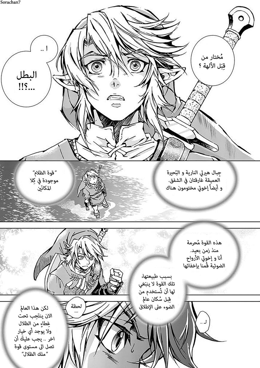 Zelda no Densetsu: Twilight Princess: Chapter 17 - Page 13