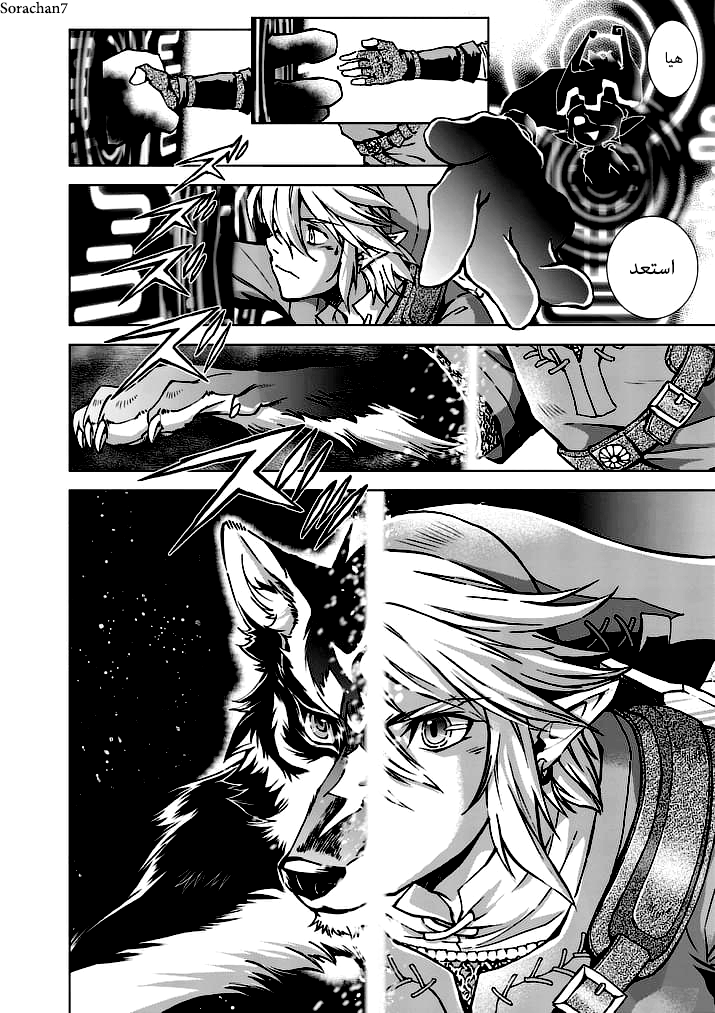 Zelda no Densetsu: Twilight Princess: Chapter 19 - Page 16