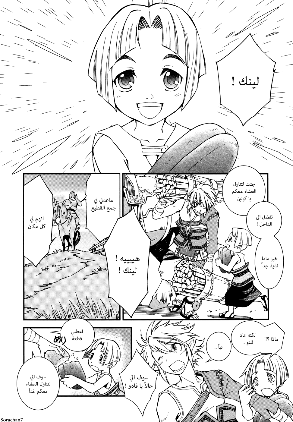 Zelda no Densetsu: Twilight Princess: Chapter 2 - Page 10