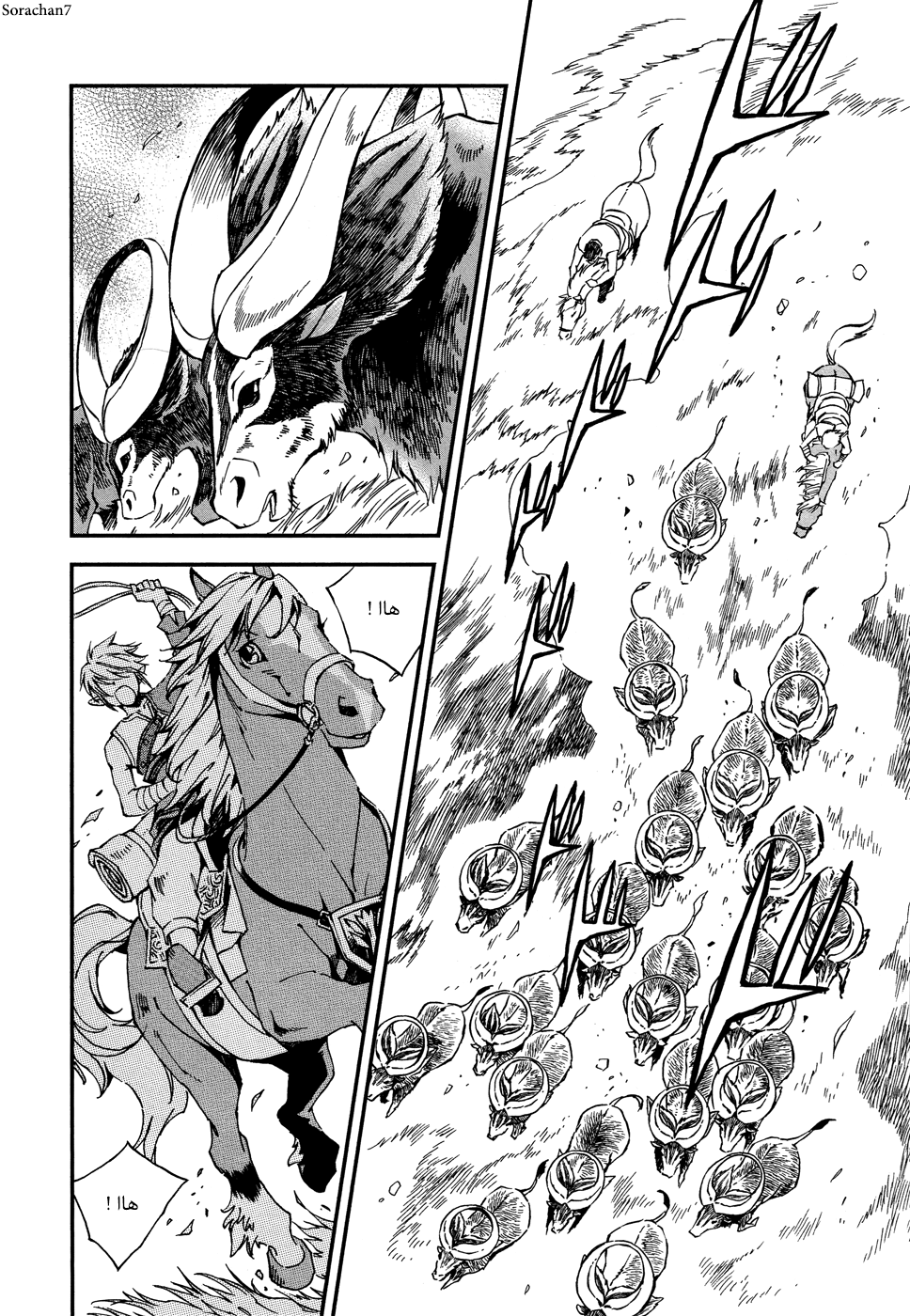 Zelda no Densetsu: Twilight Princess: Chapter 2 - Page 12