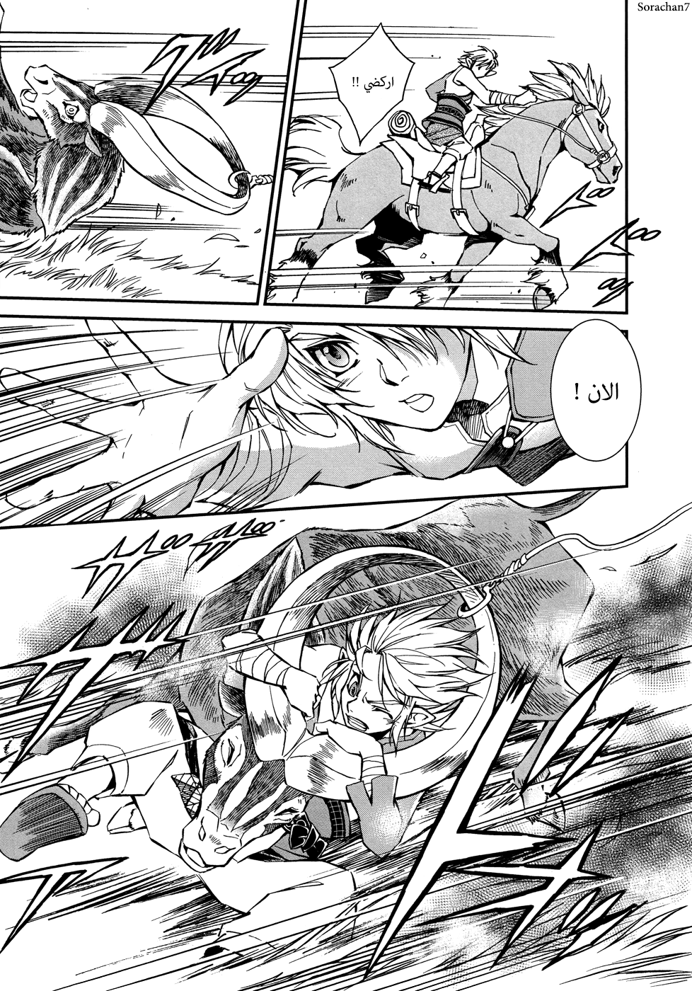 Zelda no Densetsu: Twilight Princess: Chapter 2 - Page 15