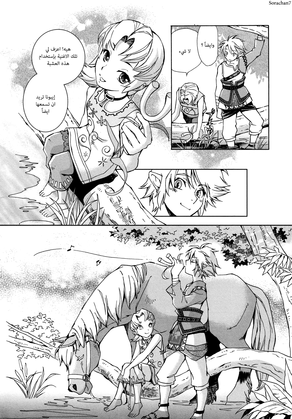 Zelda no Densetsu: Twilight Princess: Chapter 2 - Page 28